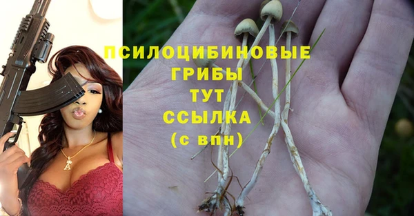 спиды Осташков